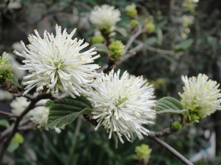 DSC03730.JPG