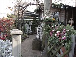s-DSC01207後.jpg