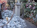 s-DSC01249先.jpg