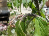 s-DSC01908.jpg