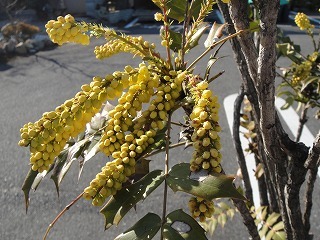 s-DSC04916 (320).jpg